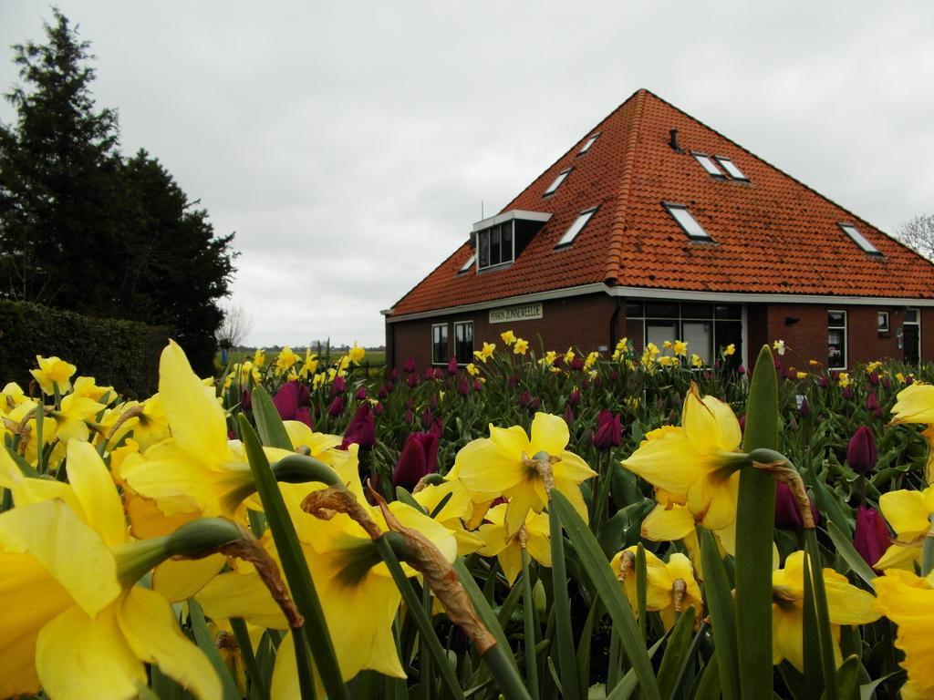 Pension Zonneweelde Oosthuizen Esterno foto